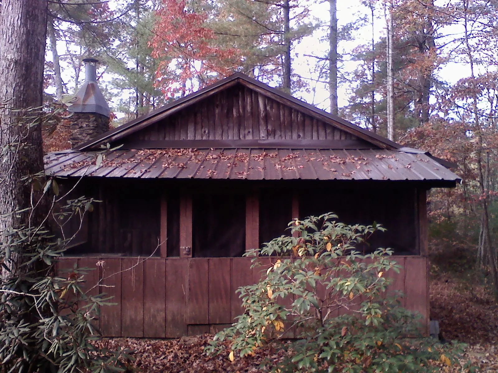 Metal roof over the screened porch of a rustic cabin in Chiefland