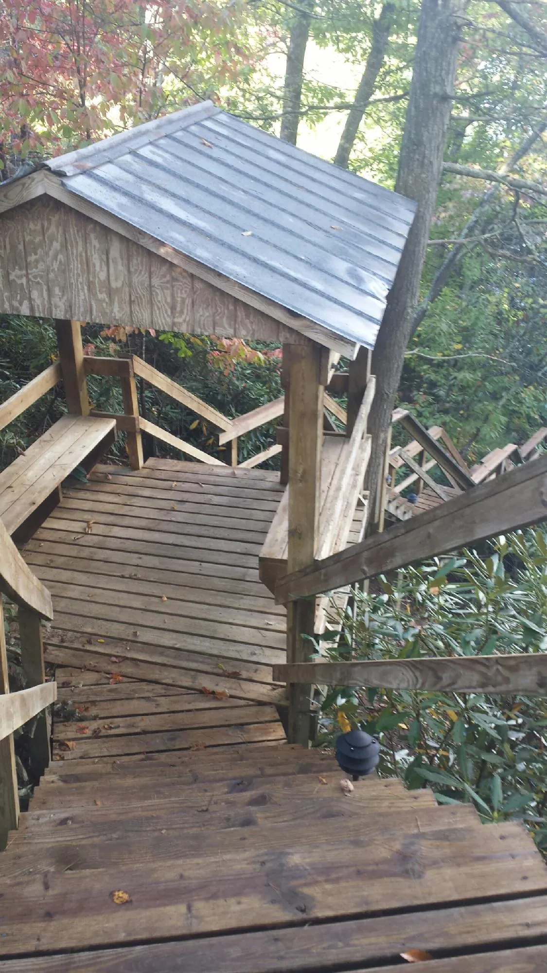 Metal roofed shelter over wooden steps on a wooded walkway — Skylight Repair & Installation work by our crew in Chiefland