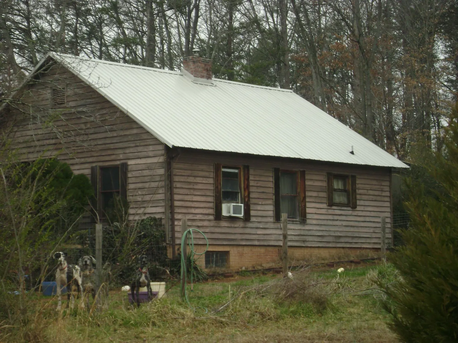 White metal roof on an old wood sided farmhouse, from a Metal Roof Installation job in Chiefland